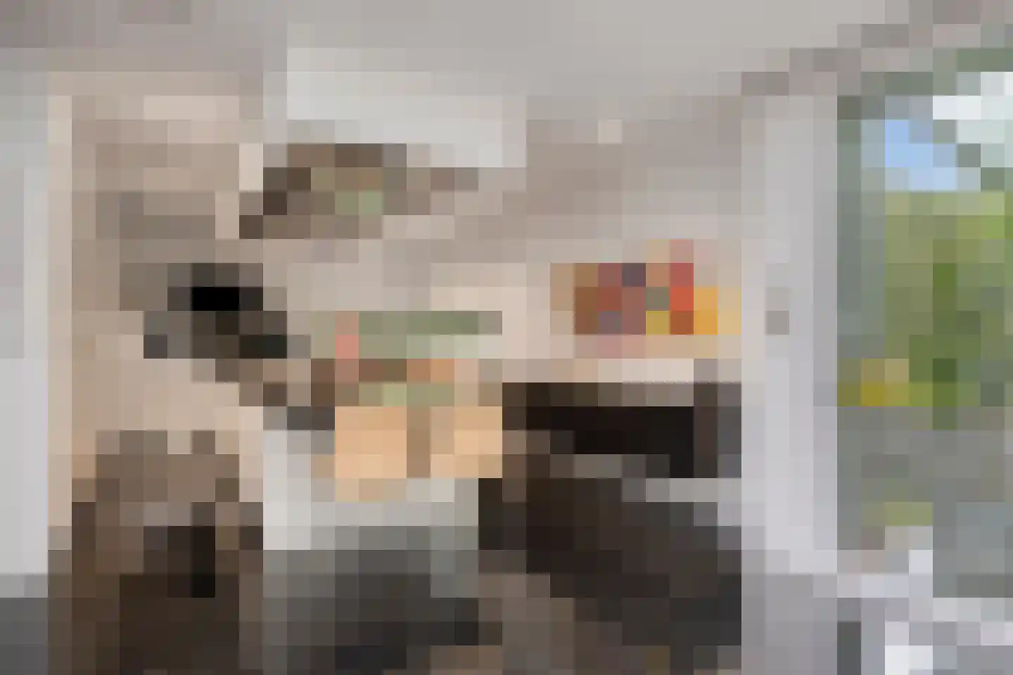 Larikslaan 15 Rosmalen thumbnail 23