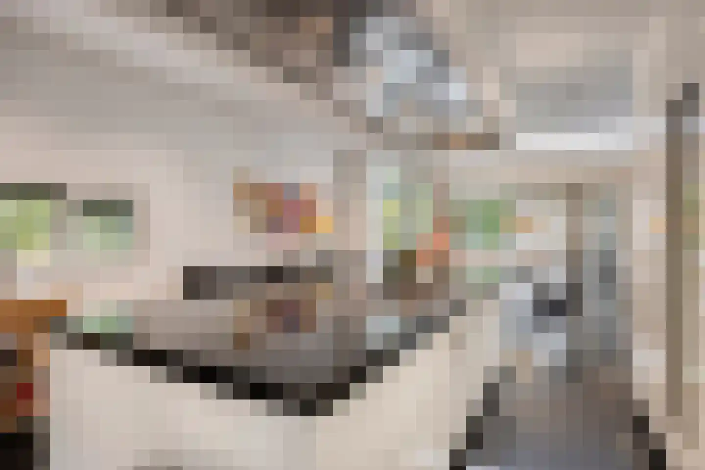 Larikslaan 15 Rosmalen thumbnail 24