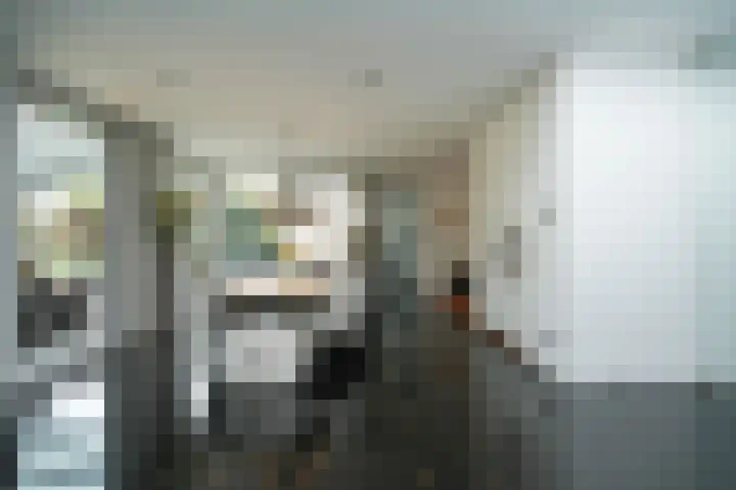 Larikslaan 15 Rosmalen thumbnail 25