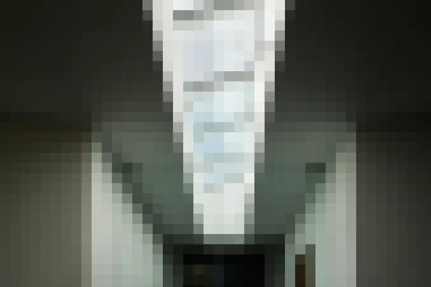Larikslaan 15 Rosmalen thumbnail 26