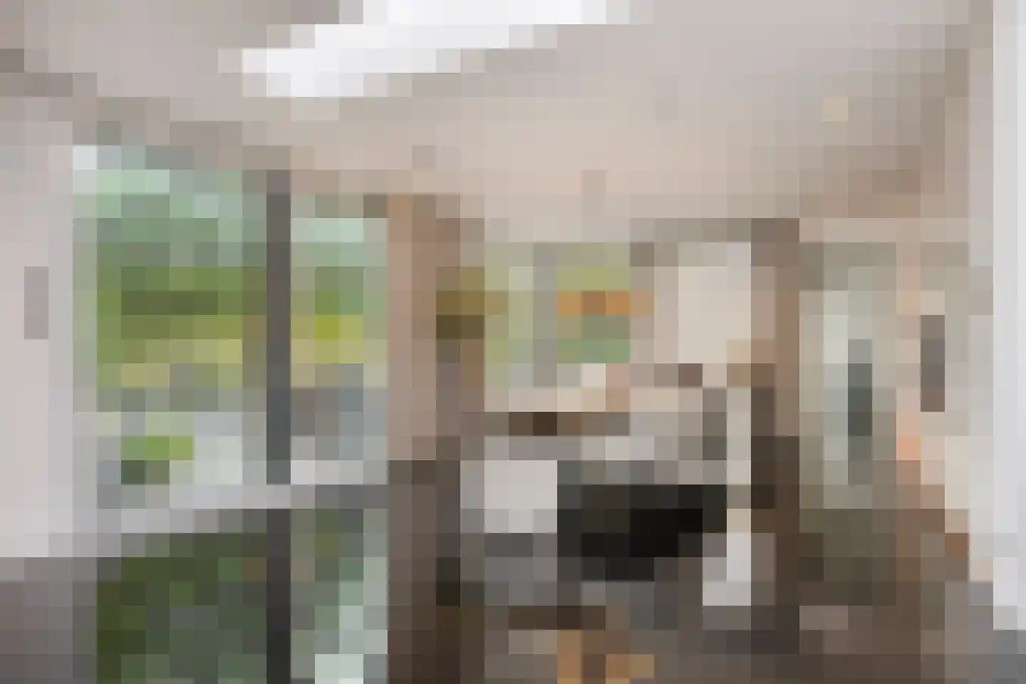 Larikslaan 15 Rosmalen thumbnail 26