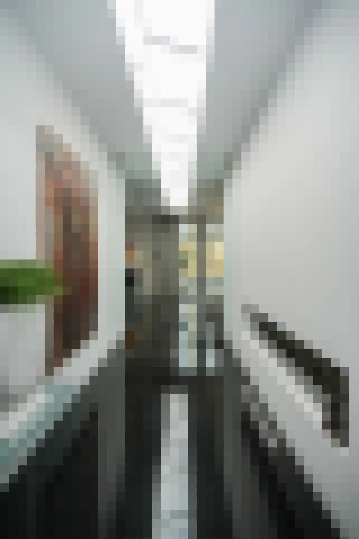 Larikslaan 15 Rosmalen thumbnail 28