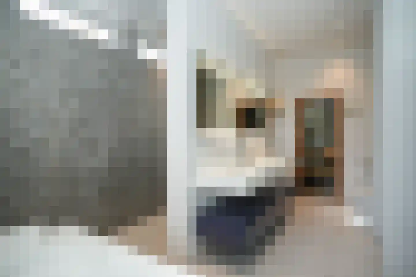 Larikslaan 15 Rosmalen thumbnail 36