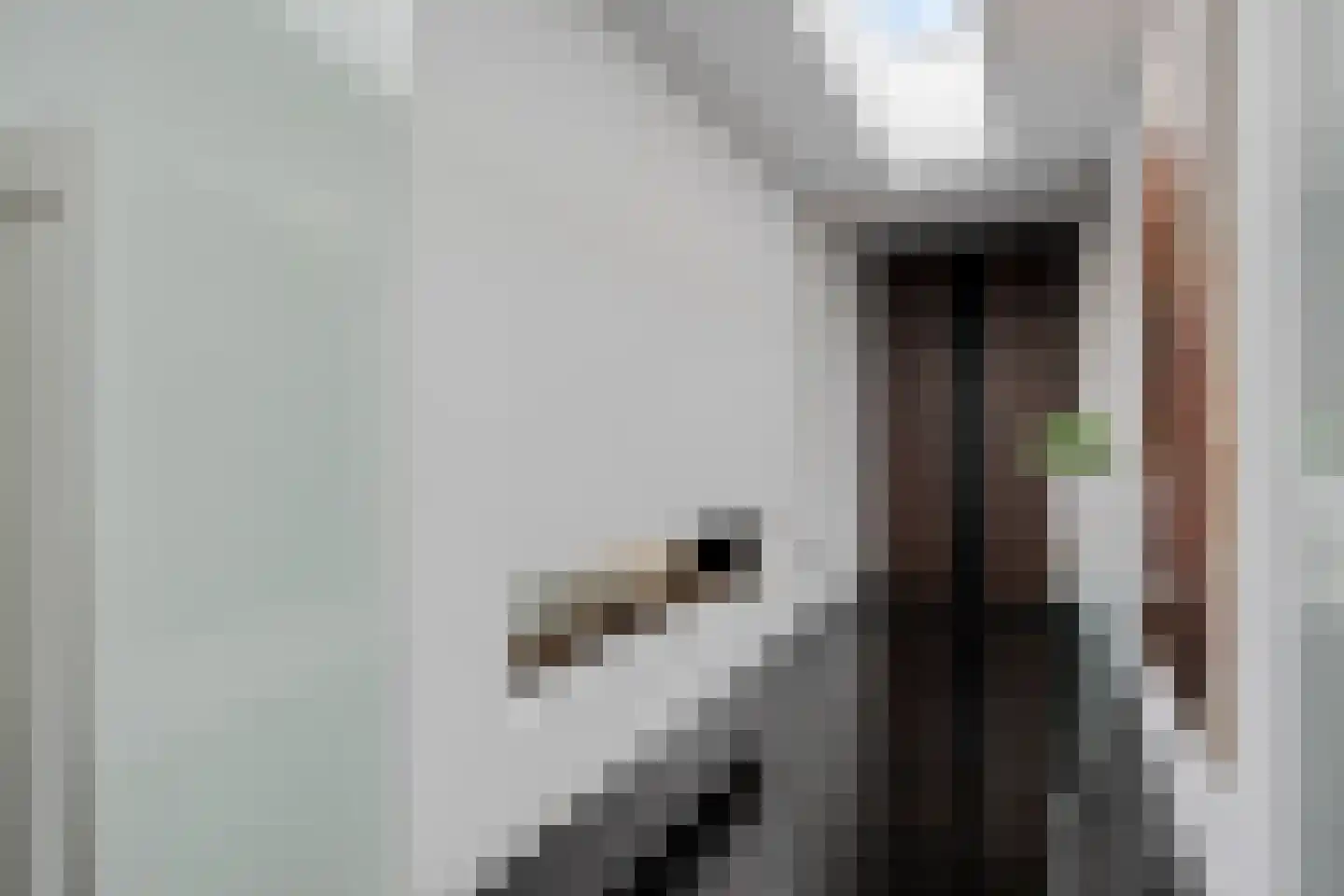 Larikslaan 15 Rosmalen thumbnail 38