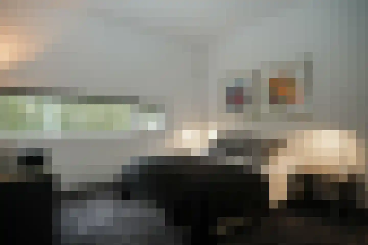 Larikslaan 15 Rosmalen thumbnail 39
