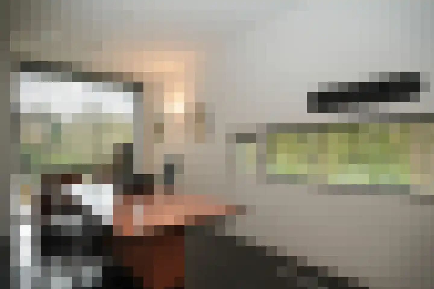 Larikslaan 15 Rosmalen thumbnail 42