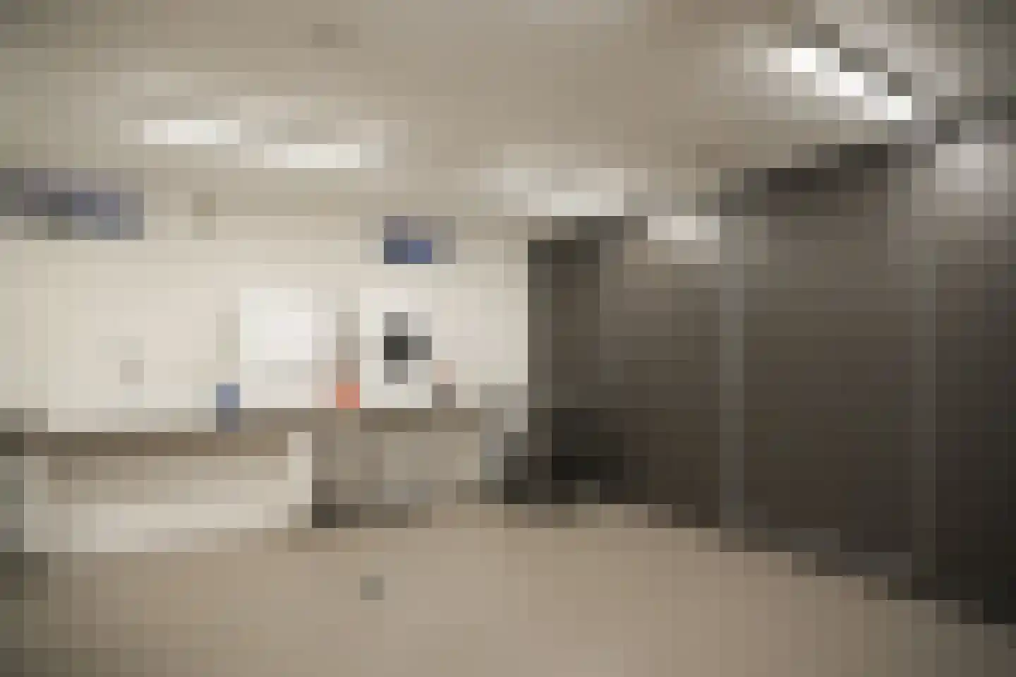 Larikslaan 15 Rosmalen thumbnail 49