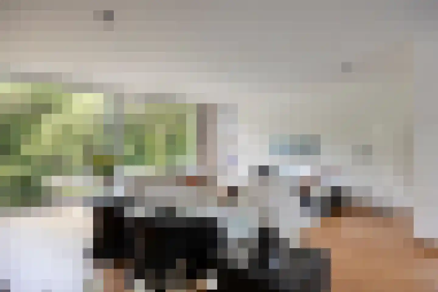 Larikslaan 15 Rosmalen thumbnail 5