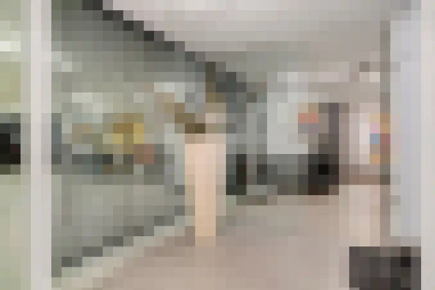 Larikslaan 15 Rosmalen thumbnail 54