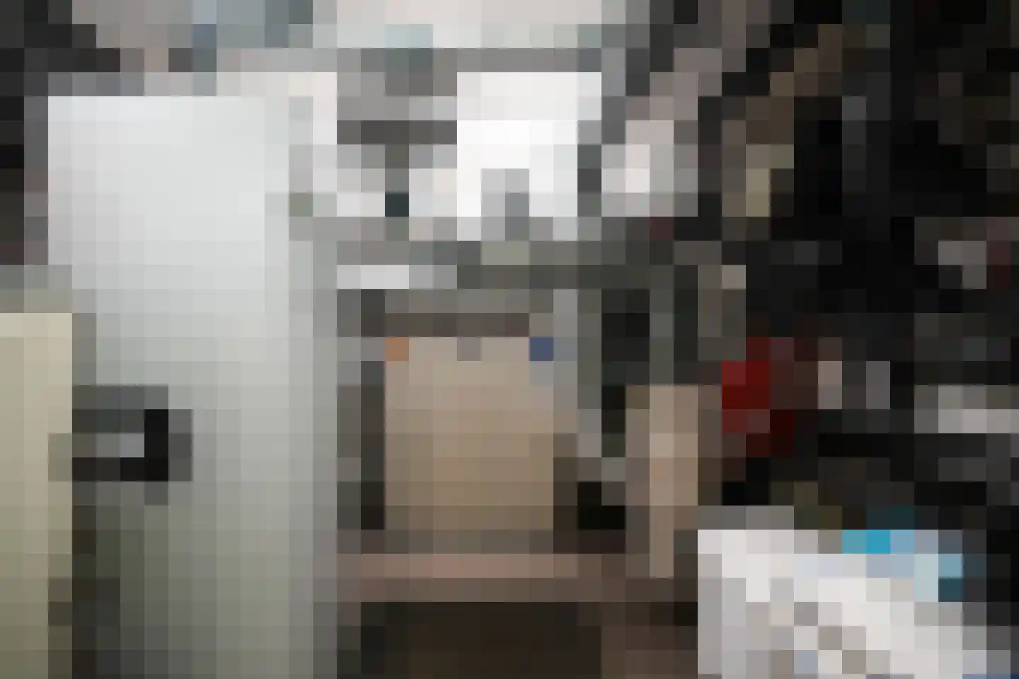 Larikslaan 15 Rosmalen thumbnail 56