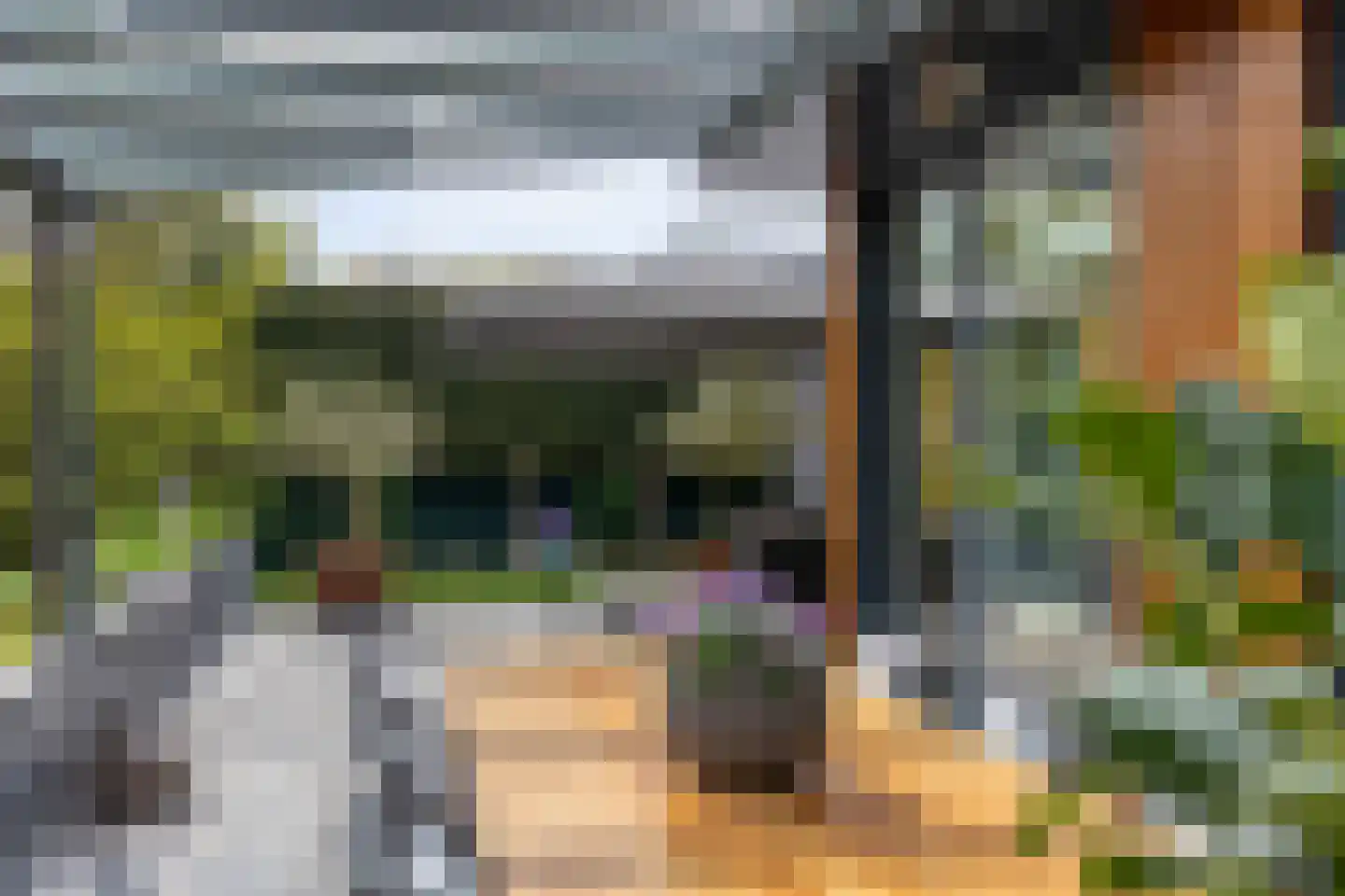 Larikslaan 15 Rosmalen thumbnail 60