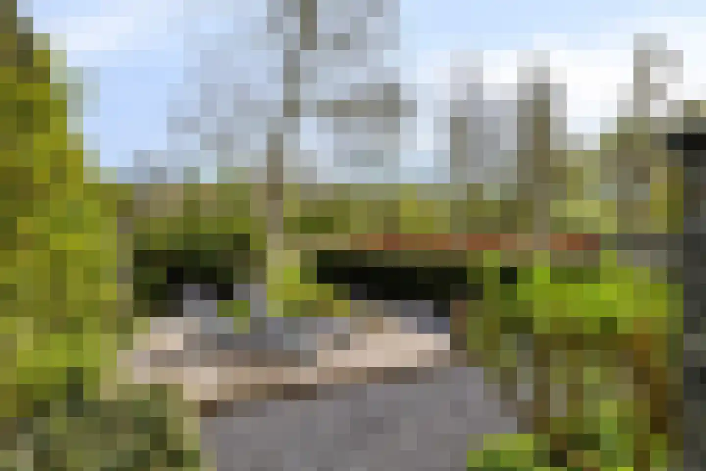 Larikslaan 15 Rosmalen thumbnail 61