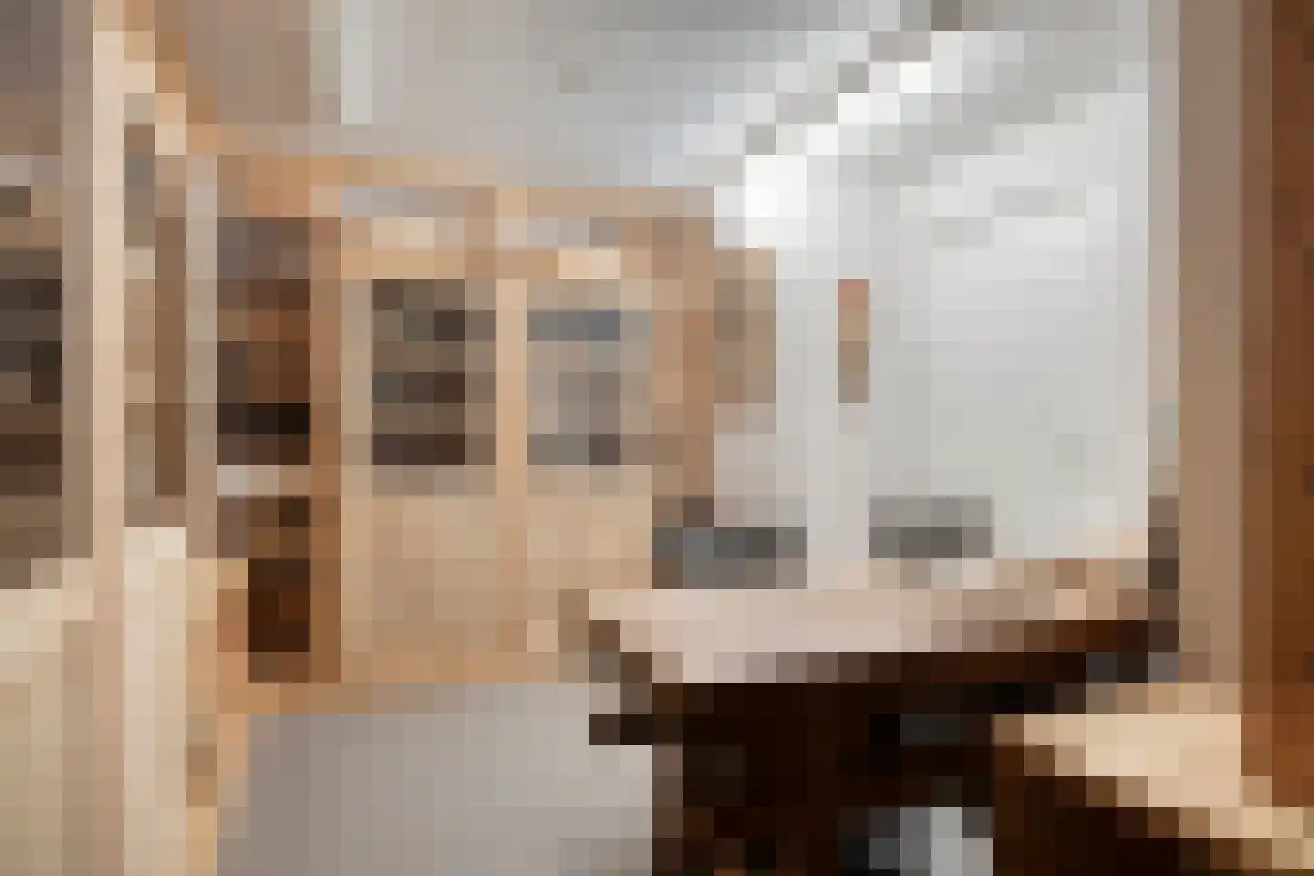 Larikslaan 15 Rosmalen thumbnail 63