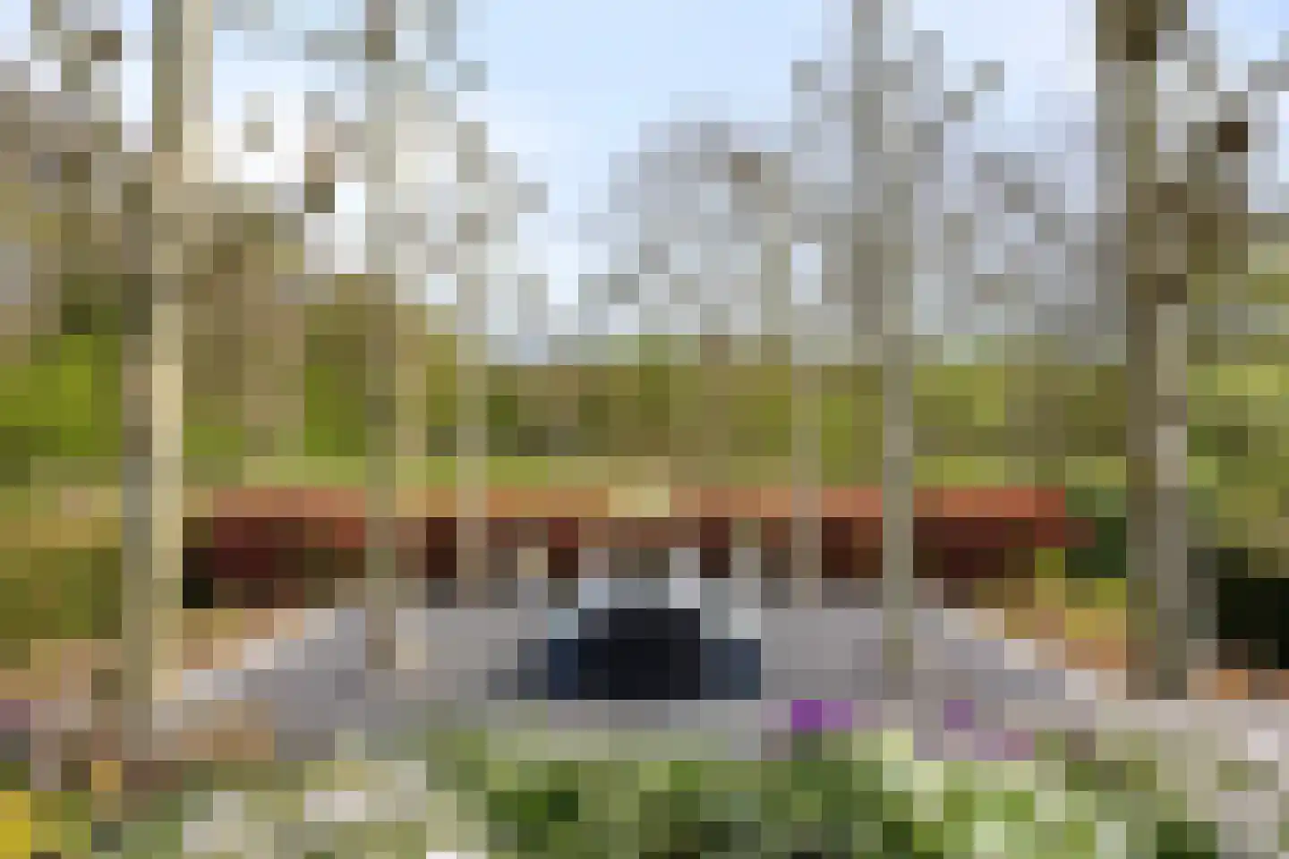 Larikslaan 15 Rosmalen thumbnail 64