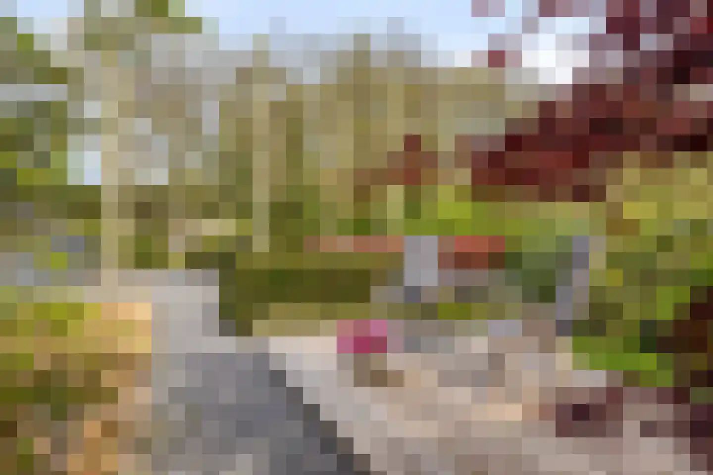 Larikslaan 15 Rosmalen thumbnail 65
