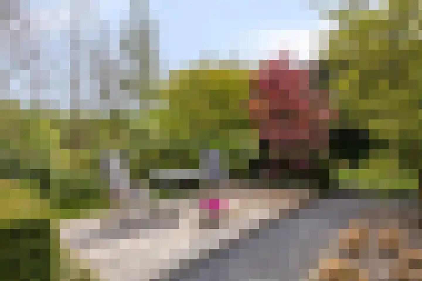 Larikslaan 15 Rosmalen thumbnail 66