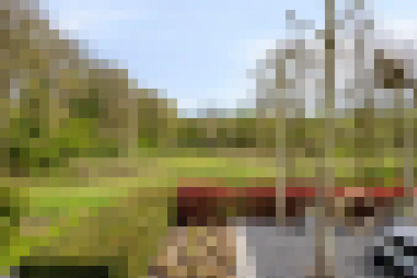Larikslaan 15 Rosmalen thumbnail 67