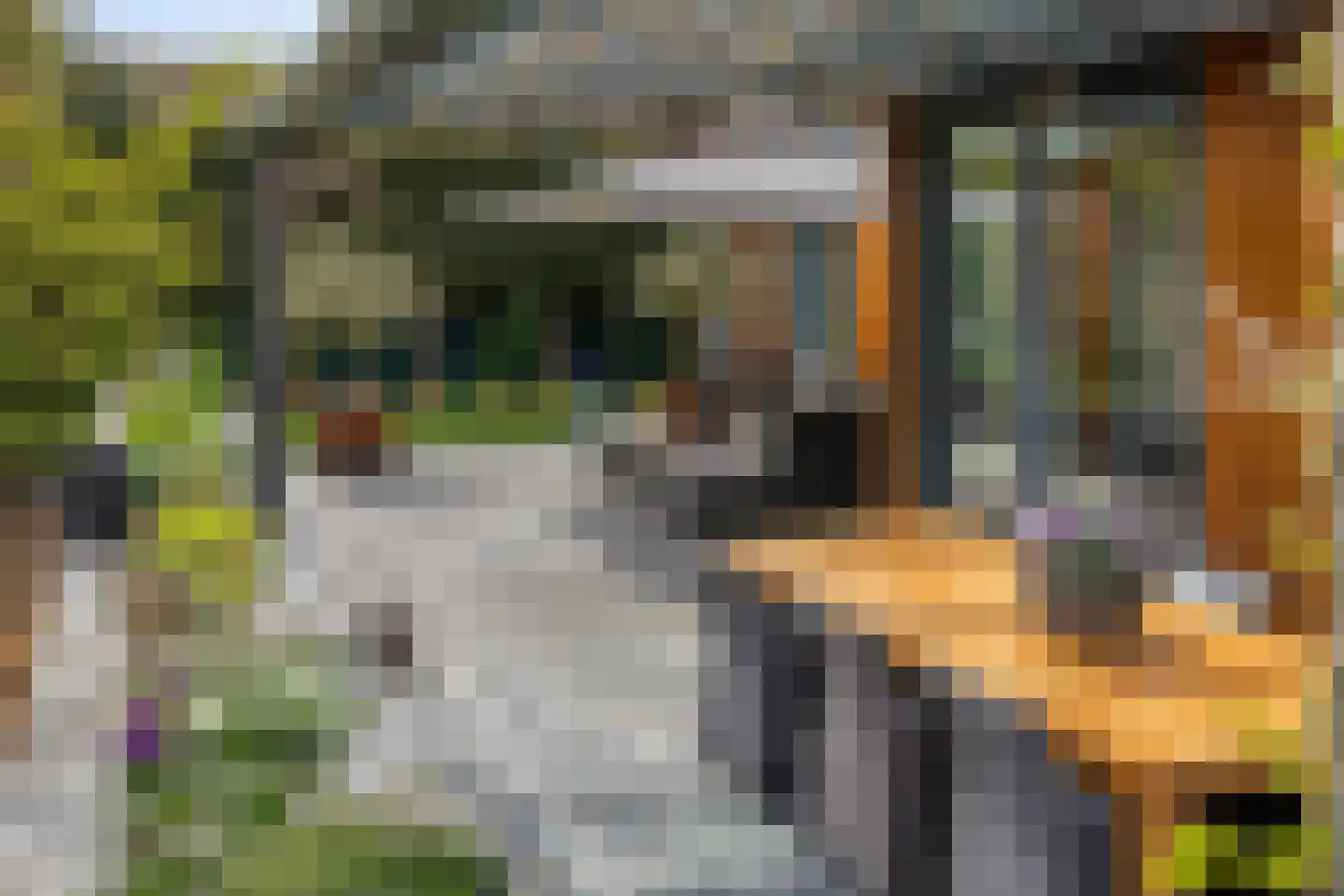 Larikslaan 15 Rosmalen thumbnail 68