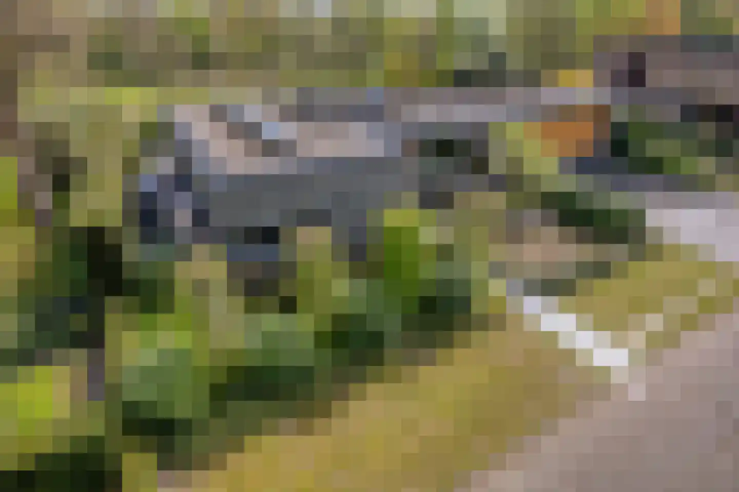 Larikslaan 15 Rosmalen thumbnail 69