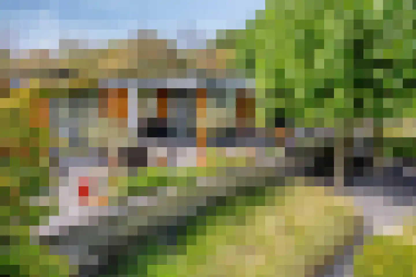 Larikslaan 15 Rosmalen thumbnail 70