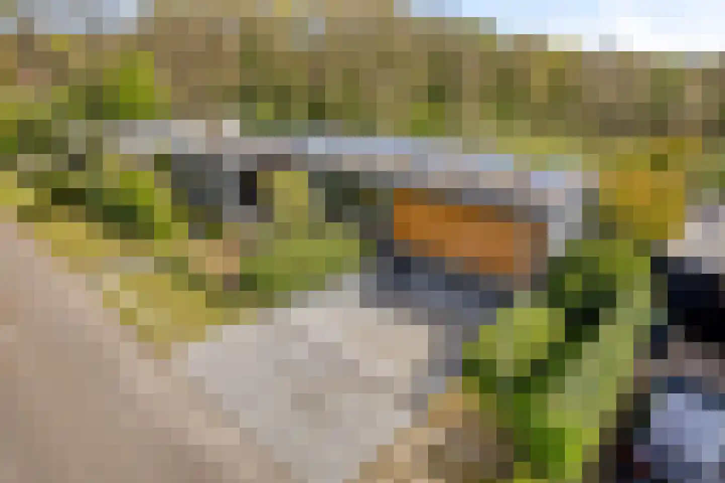 Larikslaan 15 Rosmalen thumbnail 70