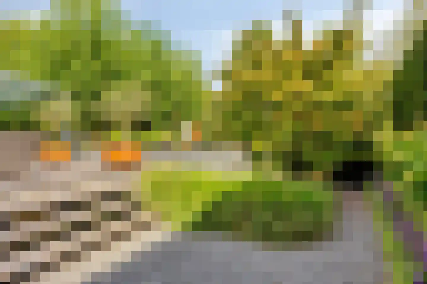 Larikslaan 15 Rosmalen thumbnail 73