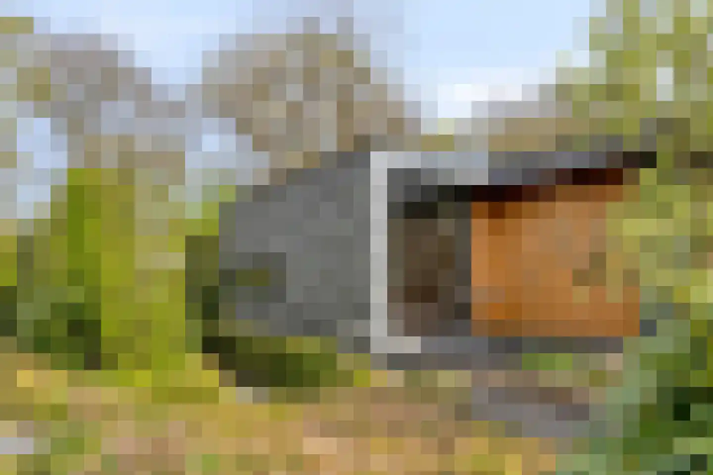 Larikslaan 15 Rosmalen thumbnail 73