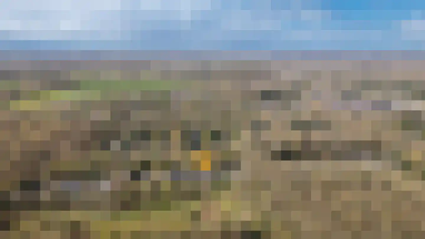 Larikslaan 15 Rosmalen thumbnail 75