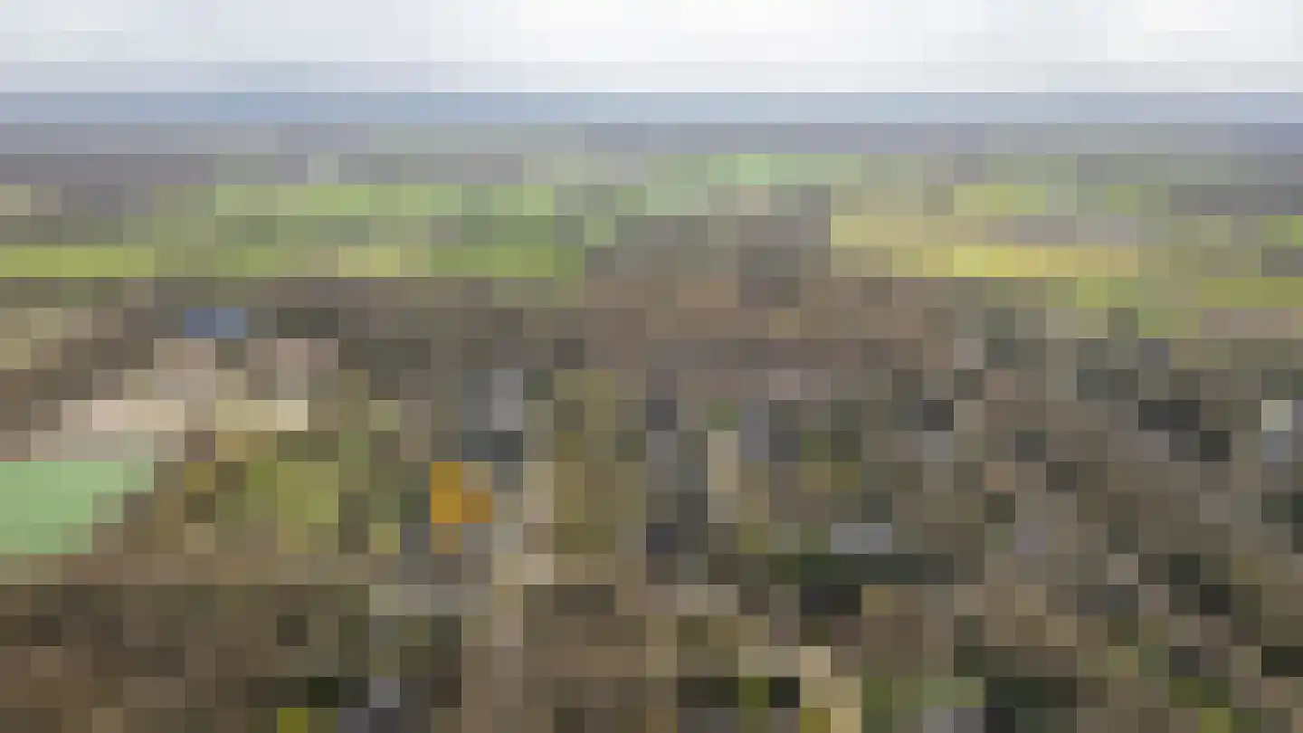 Larikslaan 15 Rosmalen thumbnail 76