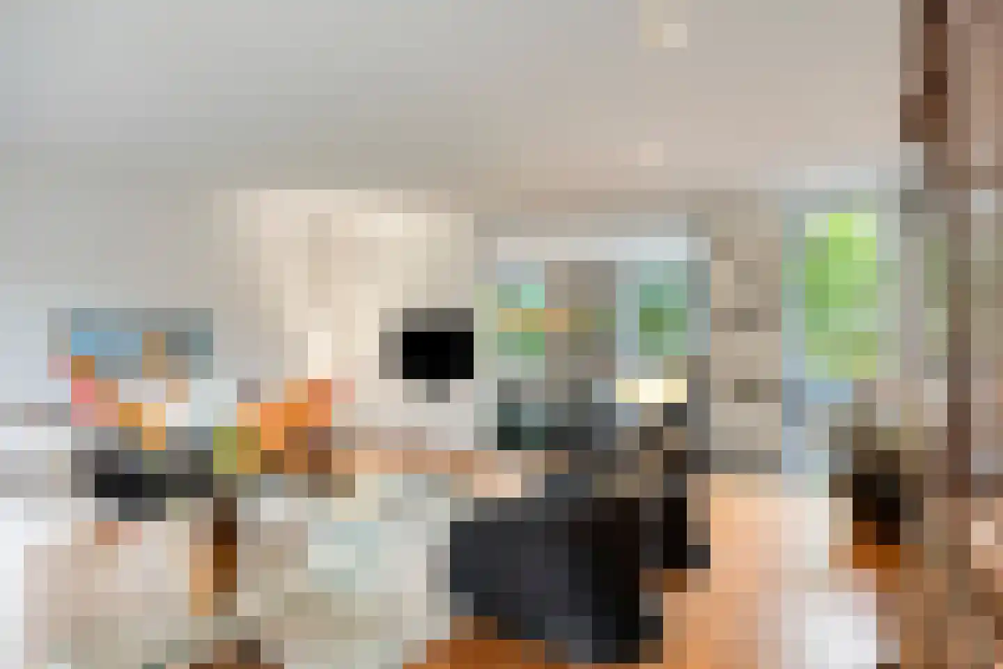 Larikslaan 15 Rosmalen thumbnail 8
