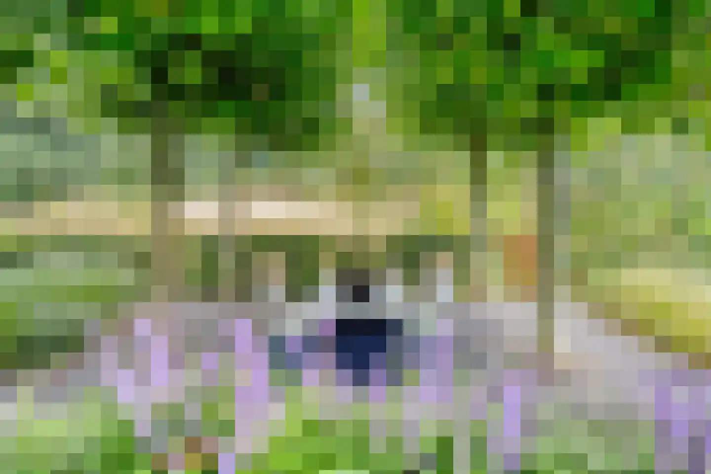 Larikslaan 15 Rosmalen thumbnail 80