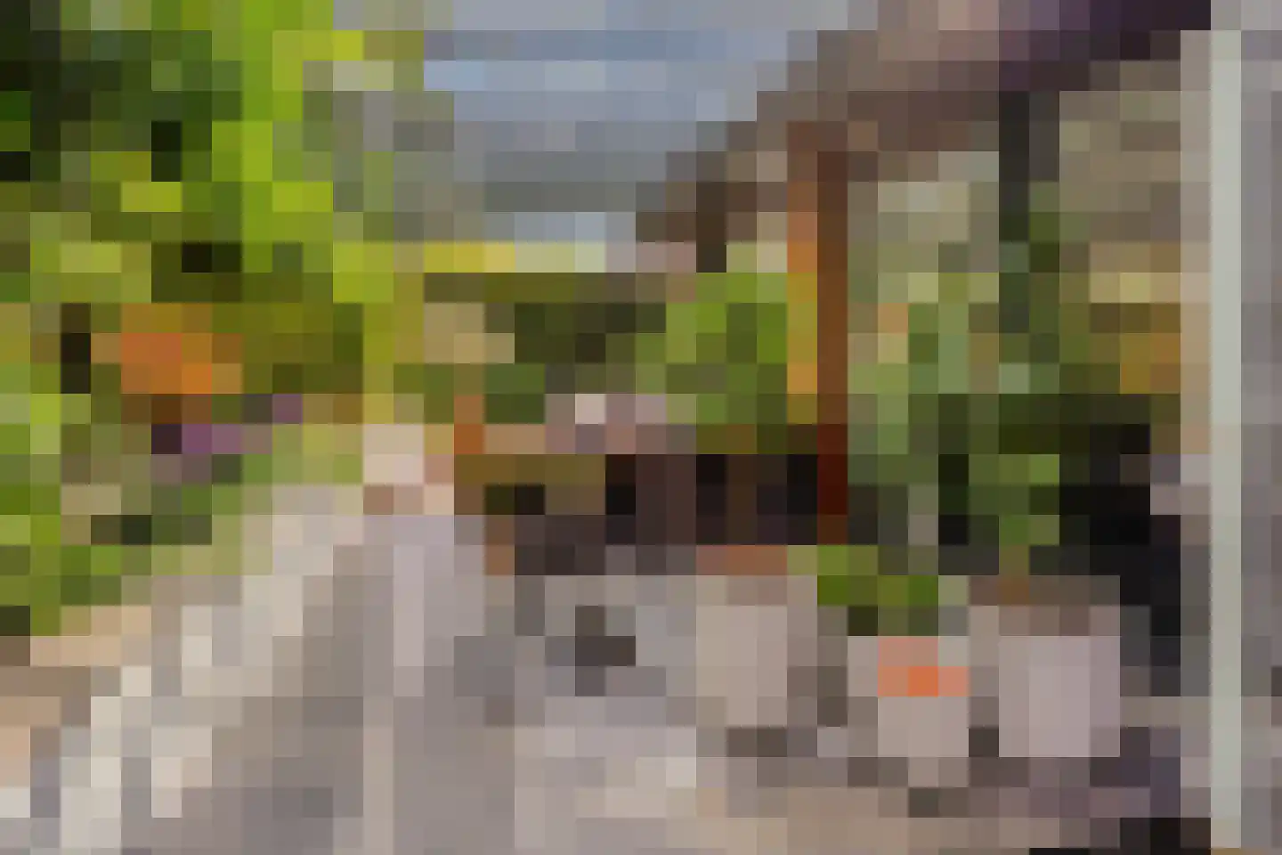 Larikslaan 15 Rosmalen thumbnail 81