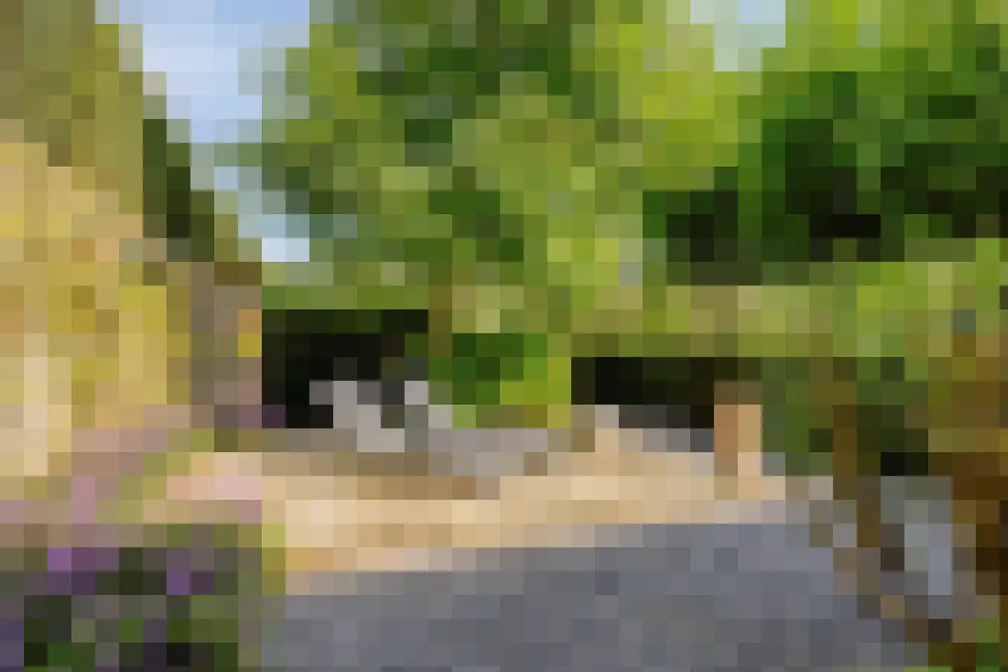 Larikslaan 15 Rosmalen thumbnail 83