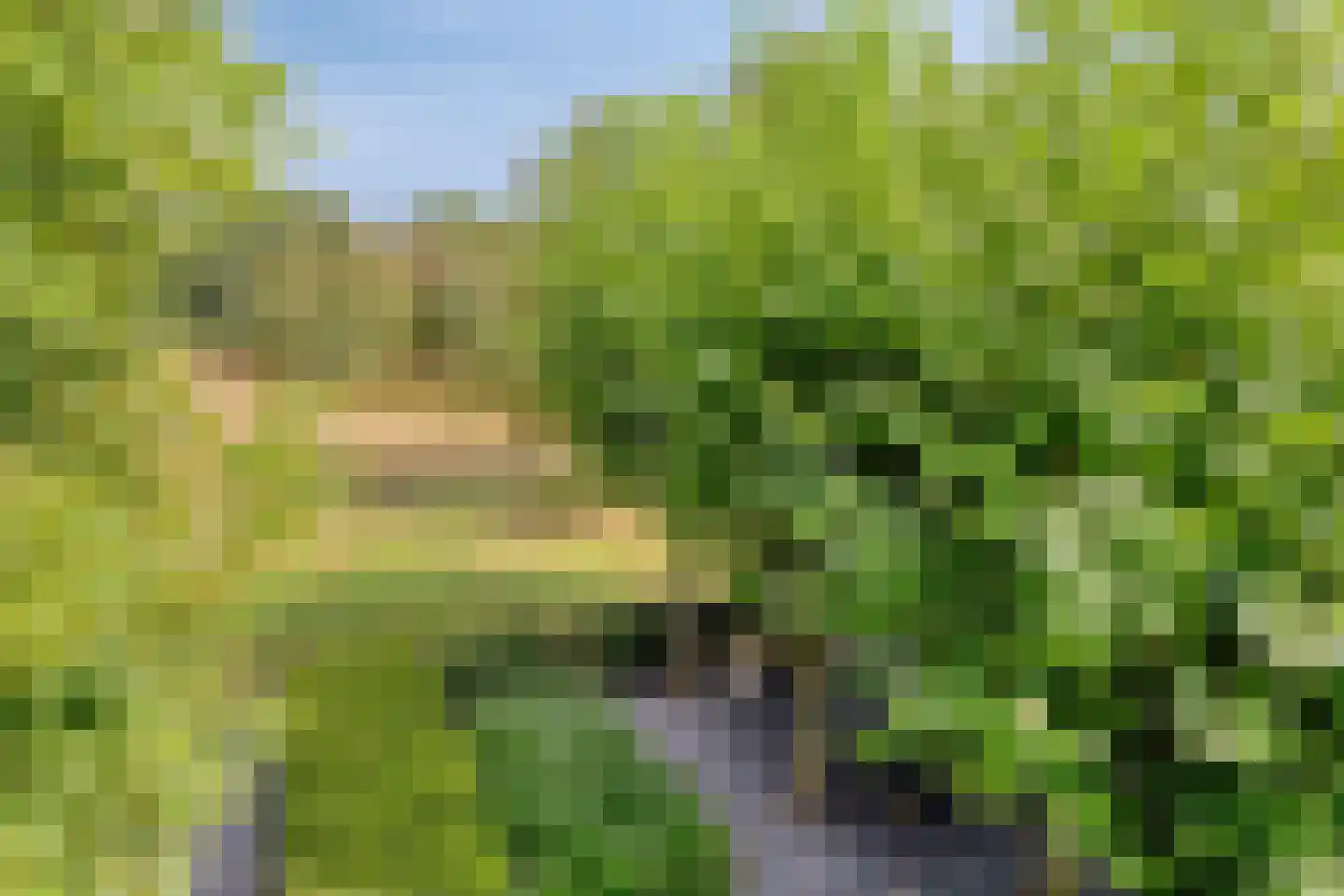Larikslaan 15 Rosmalen thumbnail 85
