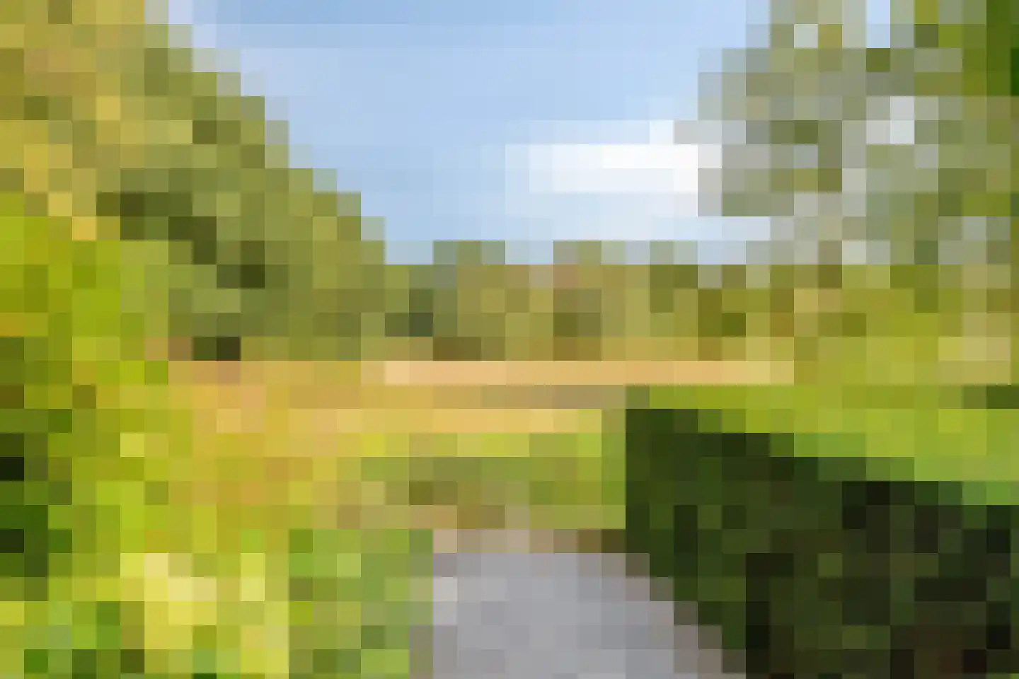 Larikslaan 15 Rosmalen thumbnail 87