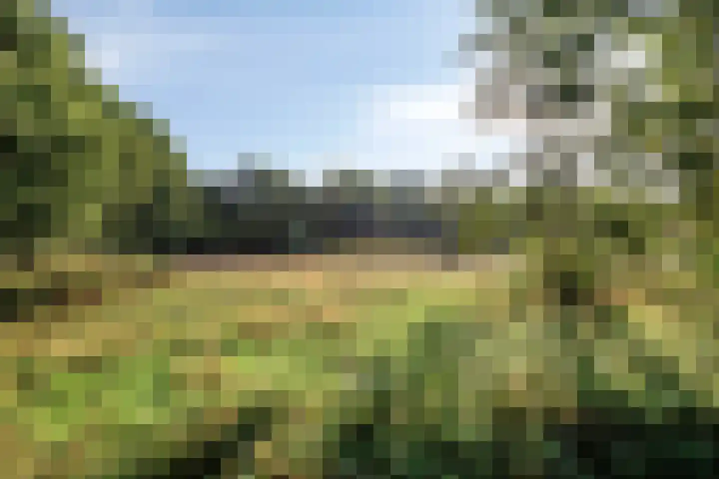Larikslaan 15 Rosmalen thumbnail 88