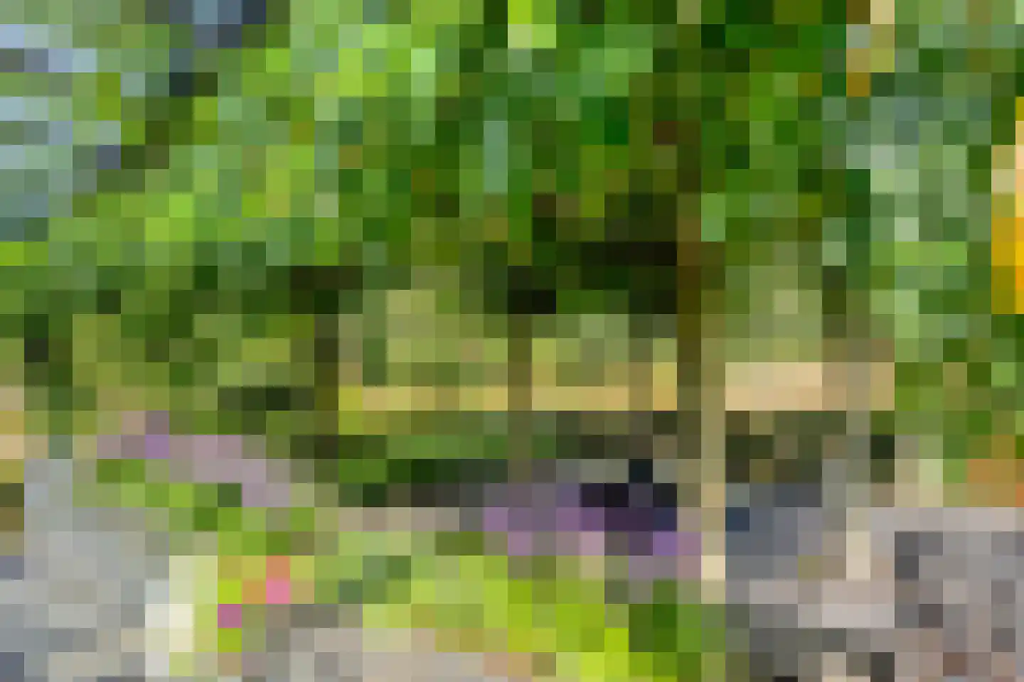 Larikslaan 15 Rosmalen thumbnail 89