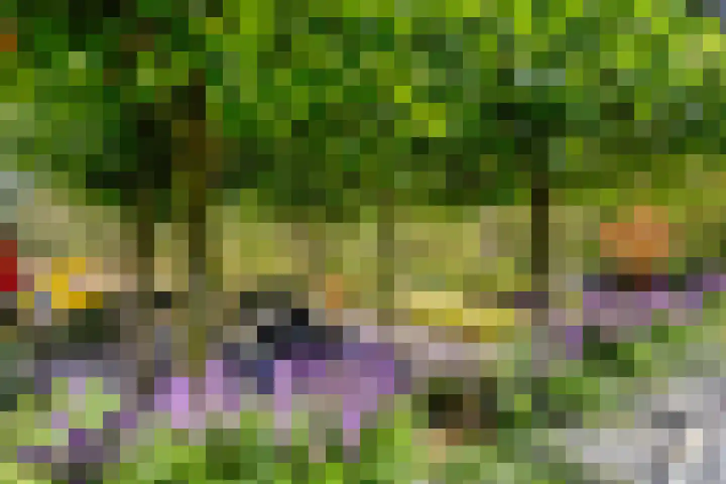 Larikslaan 15 Rosmalen thumbnail 90