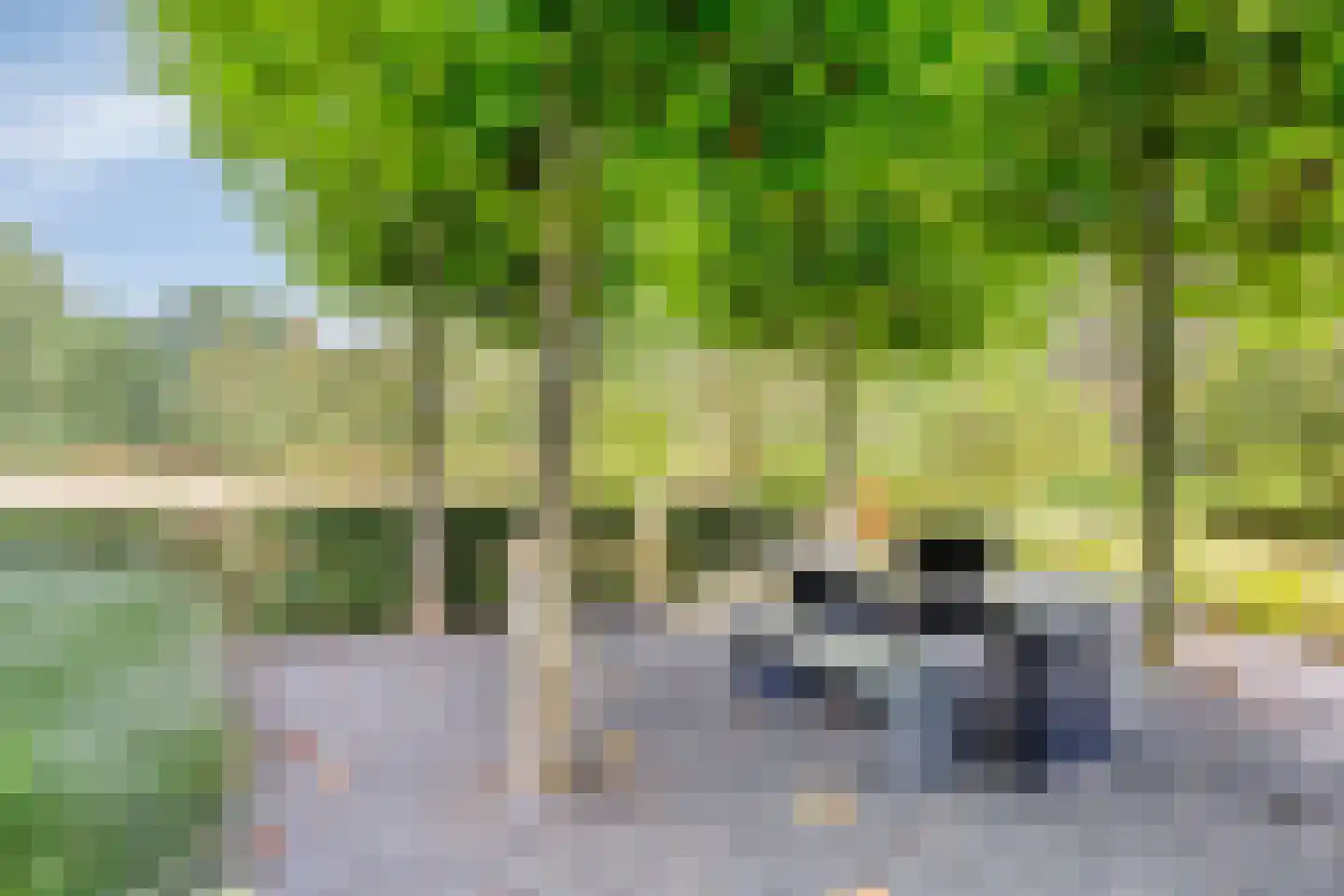 Larikslaan 15 Rosmalen thumbnail 91