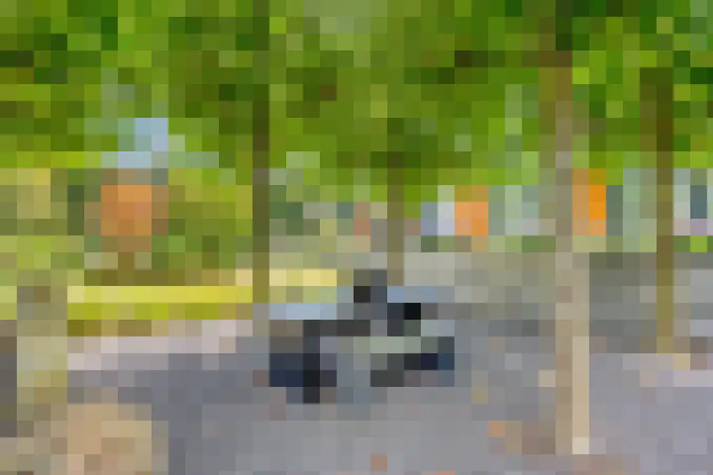 Larikslaan 15 Rosmalen thumbnail 92