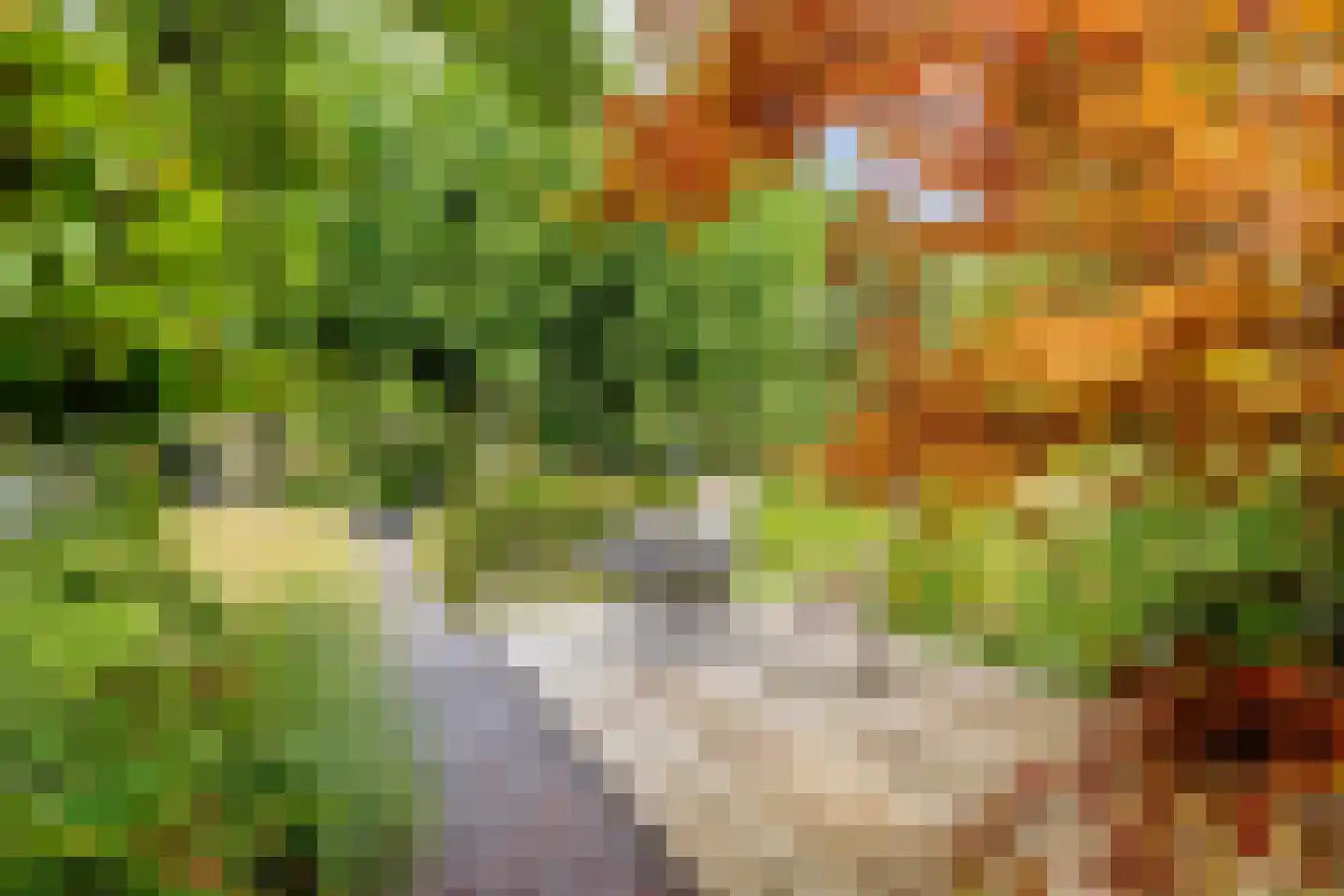 Larikslaan 15 Rosmalen thumbnail 93