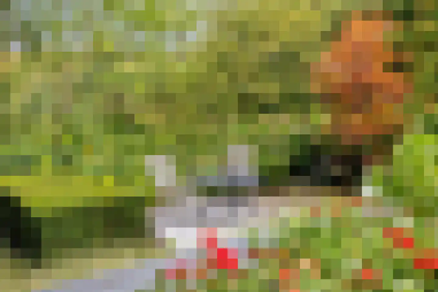 Larikslaan 15 Rosmalen thumbnail 94
