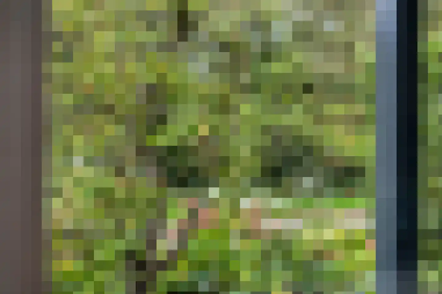 Larikslaan 15 Rosmalen thumbnail 95