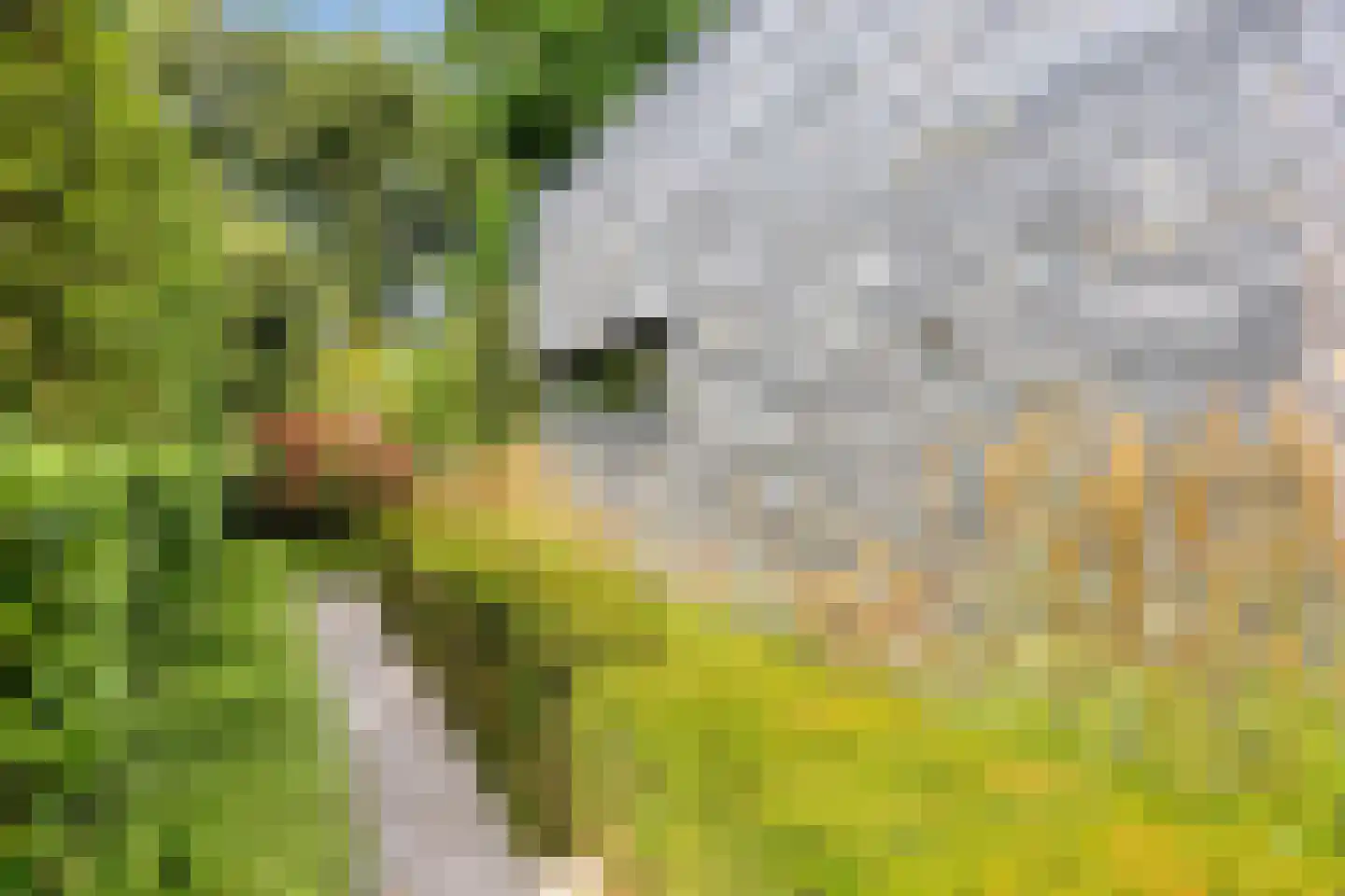 Larikslaan 15 Rosmalen thumbnail 96
