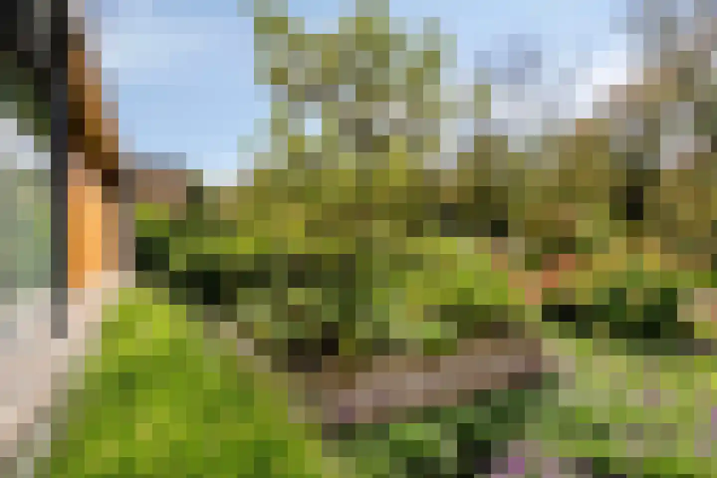Larikslaan 15 Rosmalen thumbnail 99