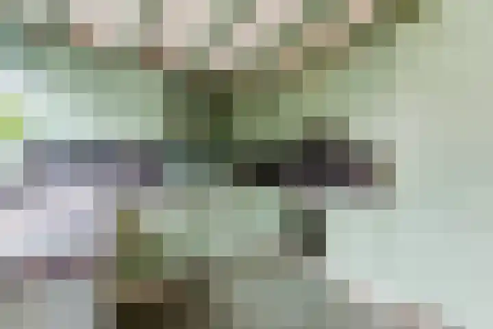 Larikslaan 153 Rotterdam thumbnail 21