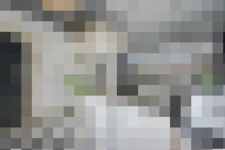 Larikslaan 153 Rotterdam thumbnail 27