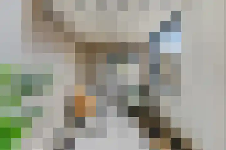 Larikslaan 153 Rotterdam thumbnail 29