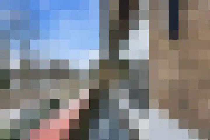 Larikslaan 153 Rotterdam thumbnail 31