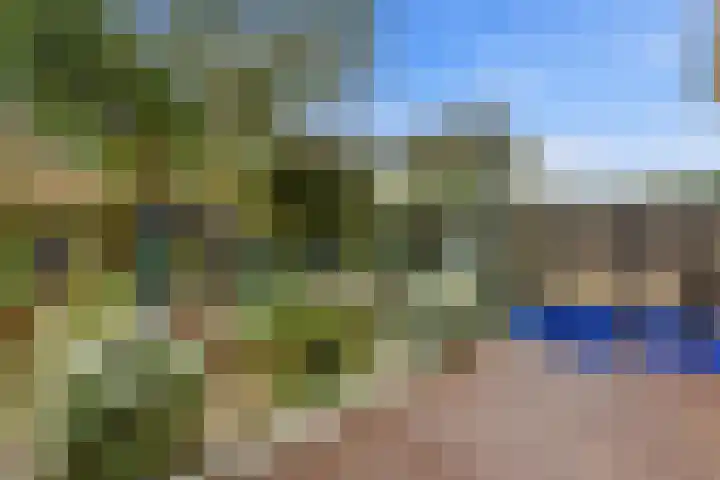 Larikslaan 153 Rotterdam thumbnail 50